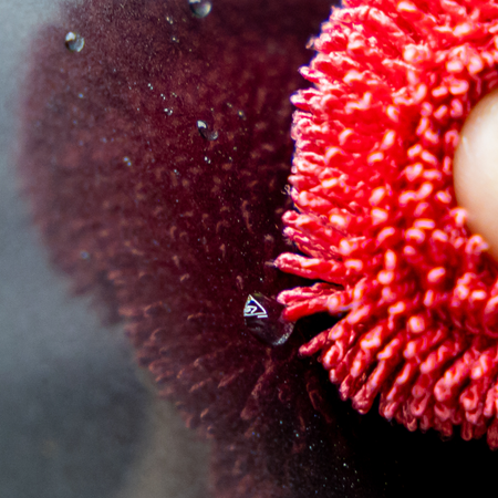 EXTERIOR CLEANING SET